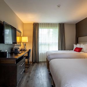 2 Double Beds Standard Non-Smoking